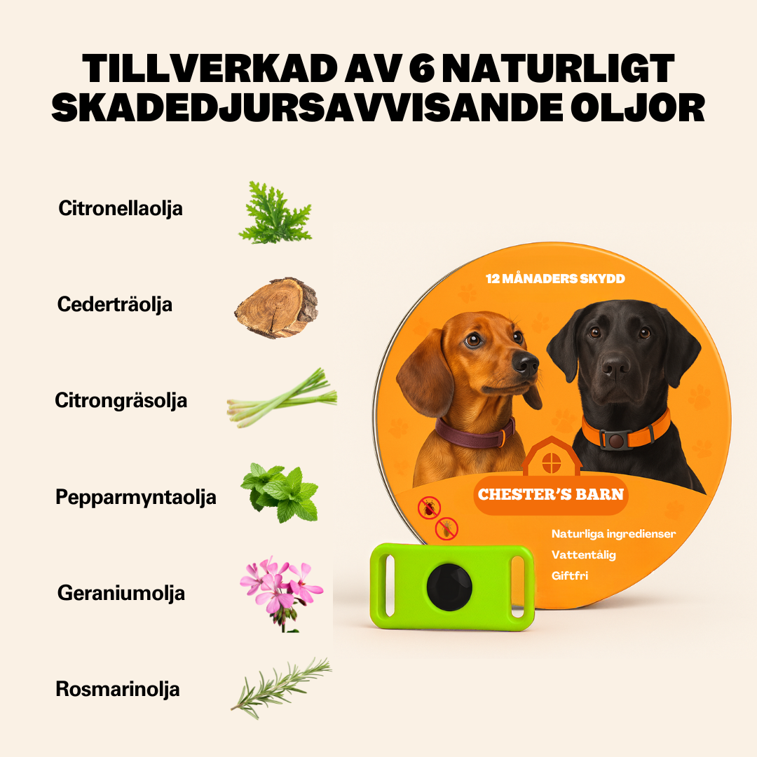 Cervical discs pressing on nerves illustration