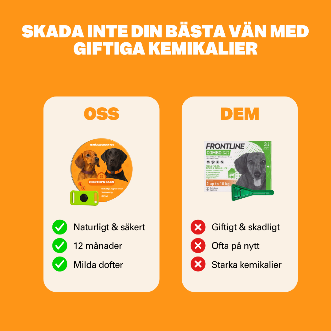 Cervical discs pressing on nerves illustration
