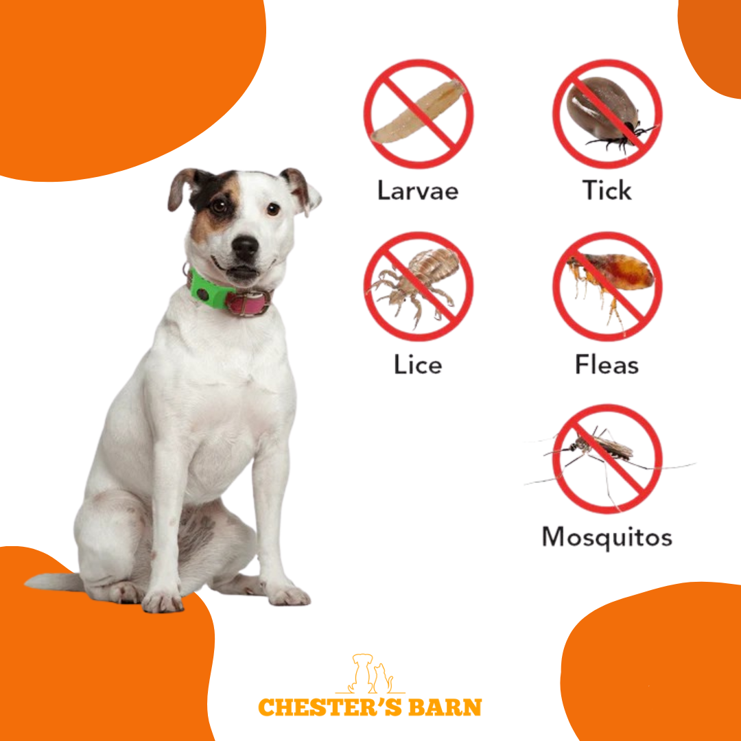 Cervical discs pressing on nerves illustration